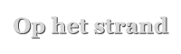 Ophetstrand, referentie uit het bestaande portfolio van WordPress Website Design