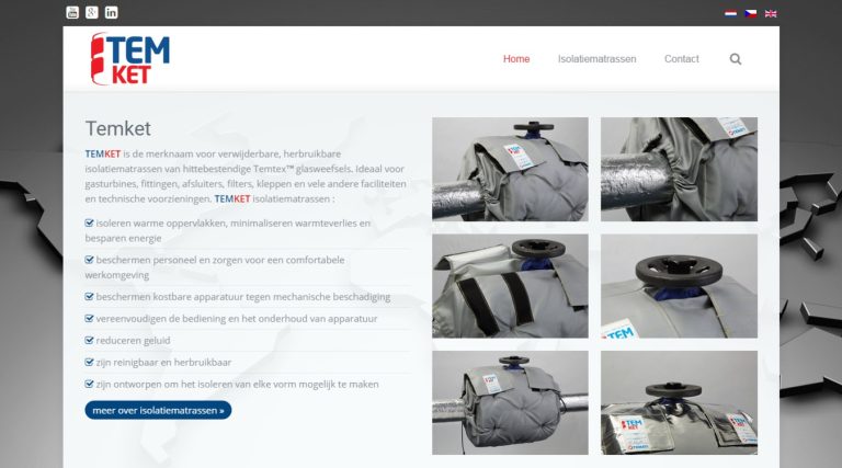 Oorspronkelijke Temket website voor Temati