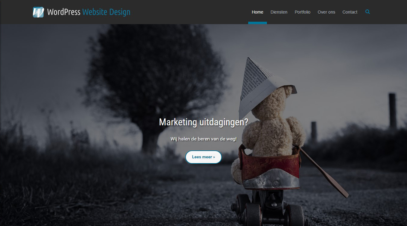 Historische versie van de eigen website van WordPress Website Design